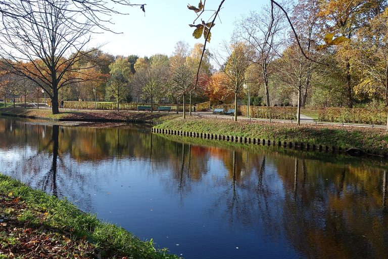 1200px-Goldfischteich_(Großer_Tiergarten)_-_Berlin,_Germany_-_DSC09426