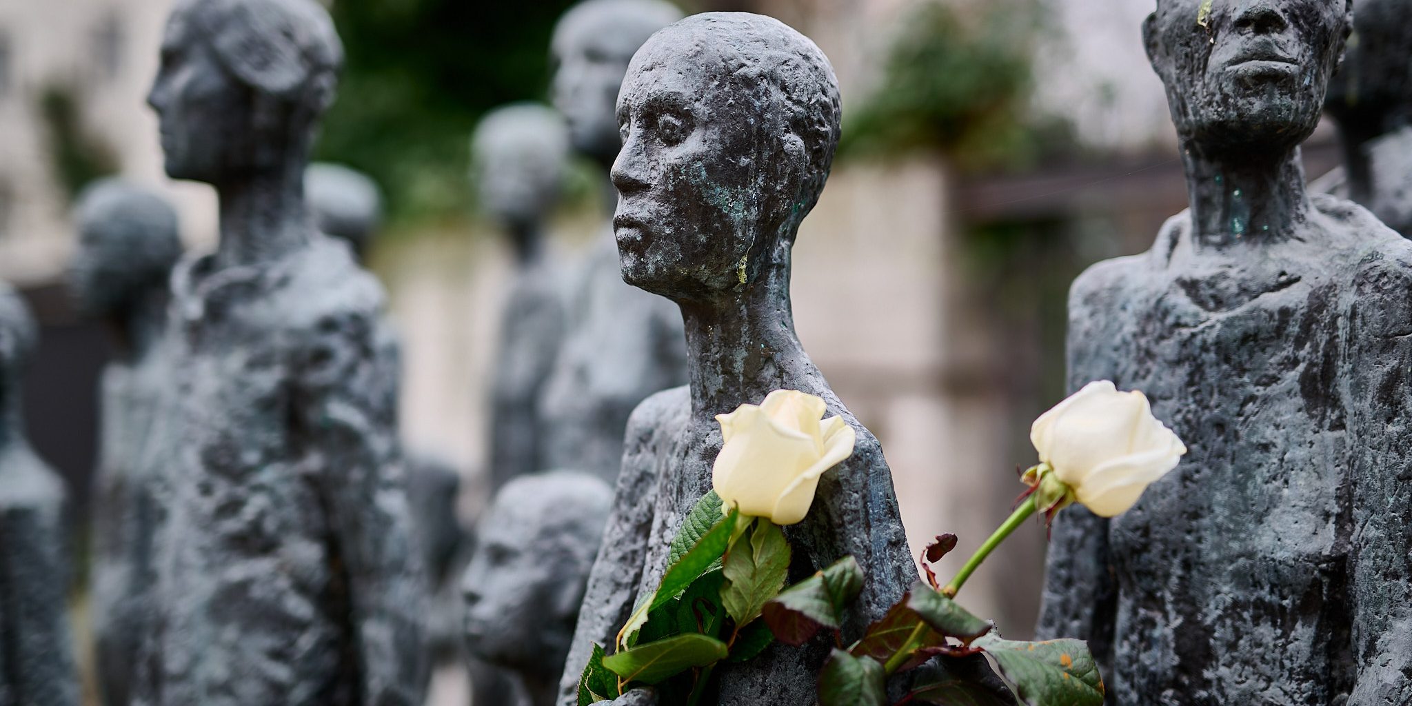 _DSC9487-NEF_DxO_DeepPRIME