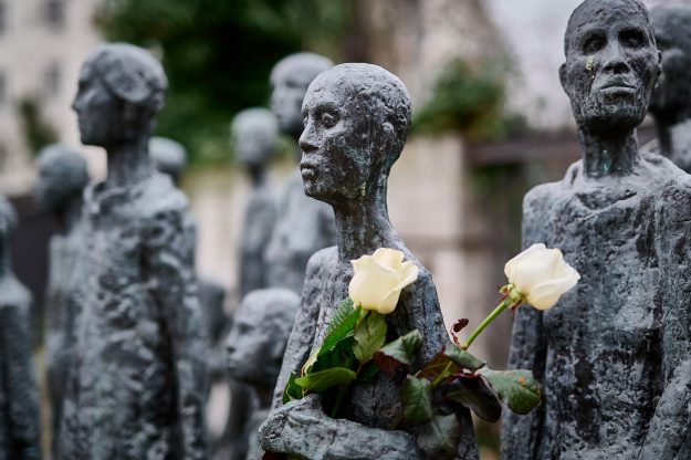 _DSC9487-NEF_DxO_DeepPRIME