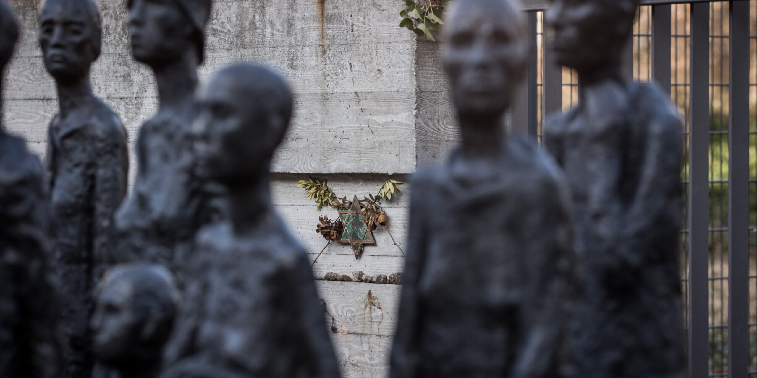 20260226D1241 (Kopie)